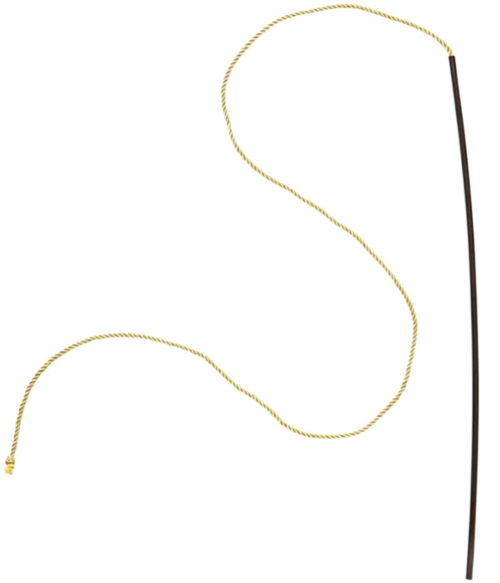 Dompteur Peitsche – Zirkus Peitsche