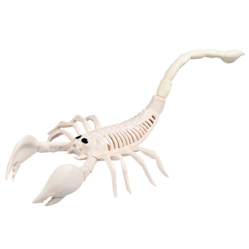 Skorpion Skelett – Halloween Deko