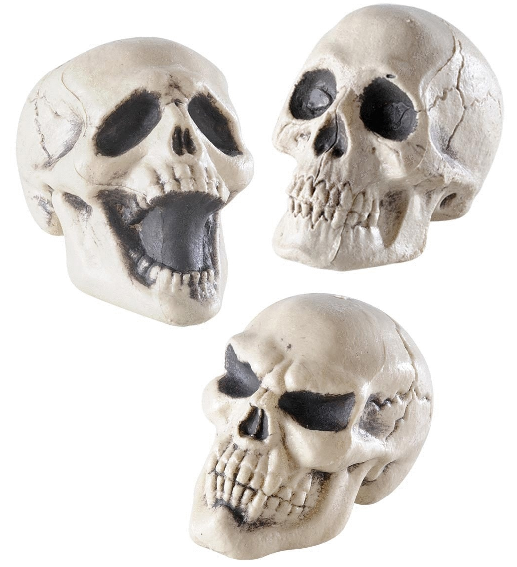 Totenschädel – Halloween Dekoration
