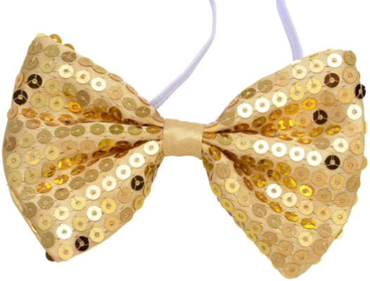Pailletten Fliege Herren – Glitzer Fliege